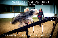 Prestwick & District Dog Training Club
