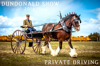 Dundonald Show, Private Driving Section