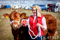 Dundonald Show, Cattle