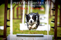 Prestwick & District Dog Training Club