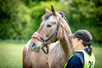 Sat Vetting