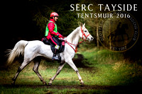 SERC Tayside - Tentsmuir